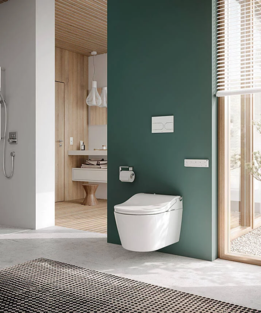 Alternative view of WASHLET® RW - zilveren details