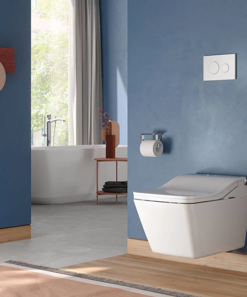 Alternative view of WASHLET® SW